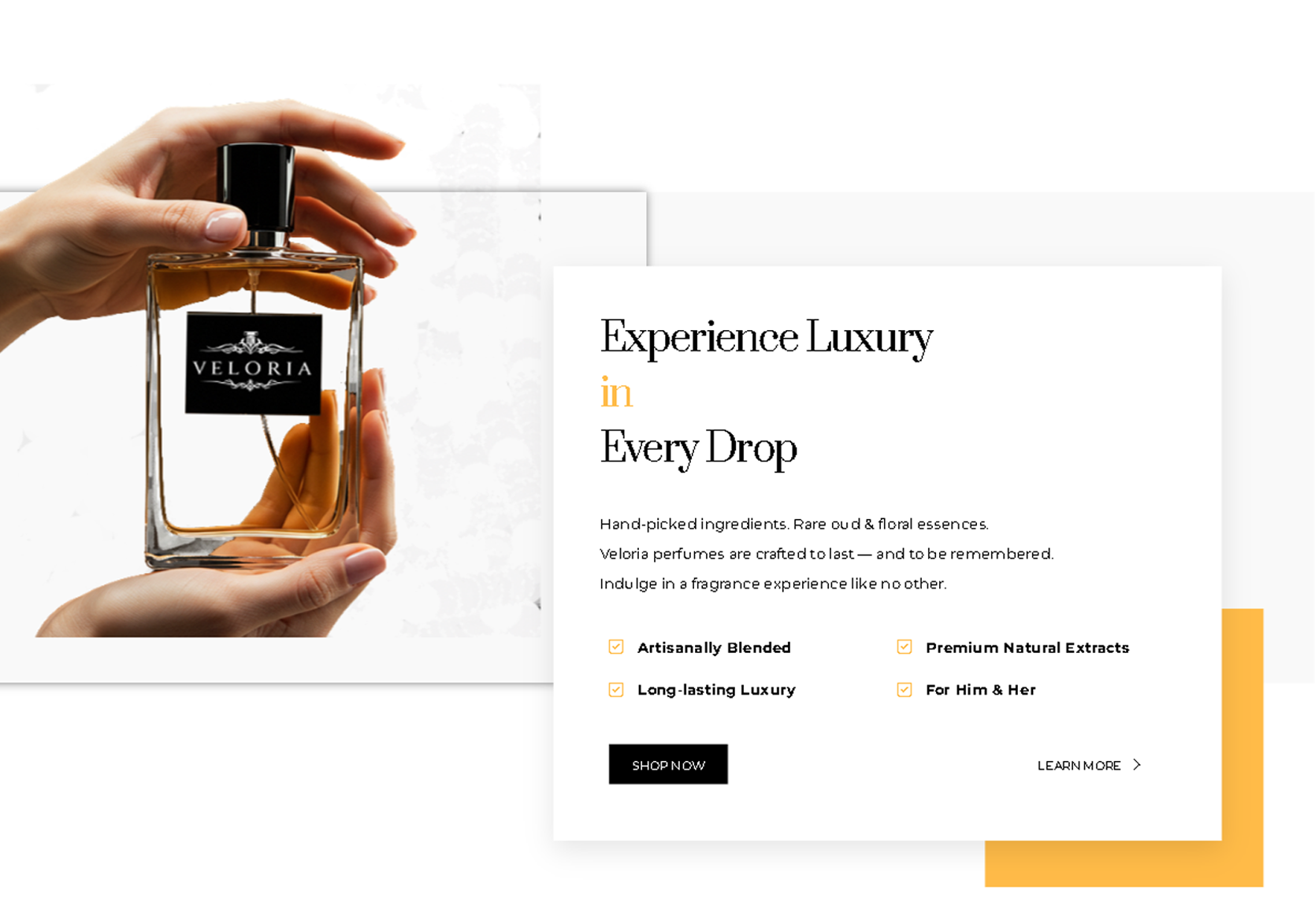 Veloria brand identity concept